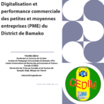 Digitalisation et performance commerciale des petites et  moyennes entreprises (PME) du District de Bamako.